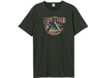 Amplified - Maglietta "Money"" Per Uomo/Donna Unisex GD1467 (M) (Charcoal)"