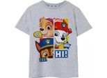 Paw Patrol - Maglietta "Peekaboo"" Per Bambino NS7746 (116) (Grigio Screziato)"