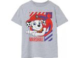 Paw Patrol - Maglietta Da Ragazzo NS7762 (116) (Grigio Screziato)