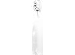 Premier - Sciarpa "Colours"" PC6750 (Taglia Unica) (Bianco)"