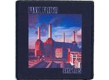 Pink Floyd - Toppa Da Stirare "Animals"" - Cotone RO8200 (Taglia Unica) (Nero/Blu/Rosso)"