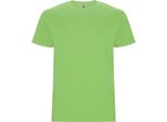 Roly - Maglietta "Stafford"" Da Uomo PF4347 (L) (Verde Oasi)"