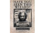 Harry Potter - Stampa Su Tela "Wanted"" PM9171 (40 Cm X 30 Cm) (Nero/Marrone)"
