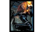 Marvel - Poster Incorniciato "Black Widow Vs Moon Knight"" PM9118 (40 Cm X 30 Cm) (Grigio/Nero)"
