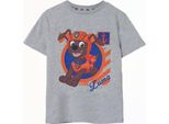 Paw Patrol - Maglietta Da Bambino A Maniche Corte NS8408 (116) (Grigio Screziato)