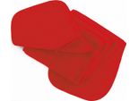 Result Winter Essentials - Borsa Sciarpa Per Uomo/Donna Unisex PC7147 (Taglia Unica) (Rosso)
