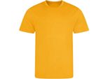 Awdis Cool - T-Shirt Da Uomo PC5211 (M) (Oro)