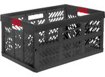 Keeeper 1029782600000 Keeeper Profi-Klappbox "Ben"", 45 Litri, Pp, Grafite"