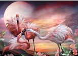 Quadro Diamante Fenicotteri Rosa 30X40Cm