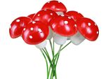 Mini Rospi Su Filo Rosso Bianco Decorazione Autunnale Dell'avvento 48 Pezzi
