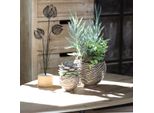 Ciotola Decorativa In Ceramica A Spirale Beige Marrone Ø9Cm Set Da 4, 4 Pezzi