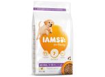 Iams Dog Puppy Large Pollo 3 Kg