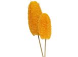 Luffa Piccola Con Gambo Giallo Dorato 25 Pezzi - Decorazione Artigianato Fiori Secchi Decorazioni Autunnali, 25 Pezzi