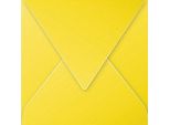 Buste Polline 20 Pezzi Giallo Sole 140X140 Mm 120G