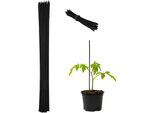 Set Relaxdays Di 50 Bastoni Per Piante Da 60 Cm