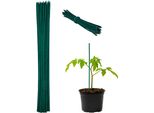 Relaxdays Bastoncini Per Piante Verdi Da 30 Cm In Un Set Da 300 Pezzi