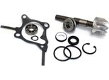 Kit Riparazione Pompa Acqua Sgr Per Honda 250 Foresight/Jazz