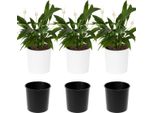 Set Di 3 Vasi Da Fiori Lamela | Malwa | Con Inserto | Bianco | 25 Cm