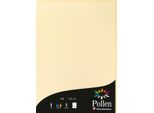 A4 Carta Polline 120G 50 Fogli Camoscio