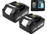 Batteria Da 18V, Capacità 6000Mah, Tecnologia Li-Ion, 2 Pezzi Con 1 Caricatore, 18V
