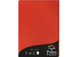 Carta Polline A4 120G 50 Fogli Rosso Corallo