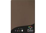 Carta Polline A4 120G 50 Fogli Marrone