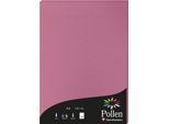 50 Fogli Di Carta Pollen, Din A4, 120G Rosa Ortensia