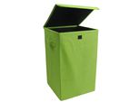 Scatola Di Stoccaggio Dreso Verde A. 50 X L. 30 X P. 30 Cm
