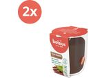 Bolsius - True Scents - Bicchiere Profumato - 80/73 - Legno Di Oud - Confezione Risparmio - 2 Pezzi