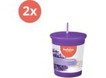 Bolsius - True Scents - Candela Votiva Rotonda - 53/45 - Lavanda - Confezione Risparmio - 2 Pezzi