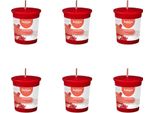 Bolsius - True Scents - Candela Votiva Rotonda - 53/45 - Melograno - Confezione Risparmio - 6 Pezzi
