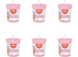 Bolsius - True Scents - Candela Votiva Rotonda - 53/45 - Magnolia - Confezione Risparmio - 6 Pezzi