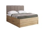 Boxxx Bett , Eiche Artisan , 120x200 cm , Kinder- & Jugendzimmer, Kindermöbel, Kinderbetten, Kindereinzelbetten