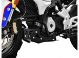 Protezione Motore Zieger Bmw G 310 R Bj 2018-22 Per G 310 R