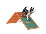 Hunde Agility Steg Agility-Ausrüstung für Hunde mit klappbare Brücke, Orange