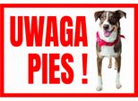 Attenzione Cane Terrier 250X175 Cartello Informativo Di Avvertimento Targa In Pvc
