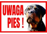 Attenzione Cane Rottwiler 250X175 Cartello Di Avvertimento In Pvc