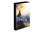 Tela Luminosa Di Legend Of Zelda Into The Wilds