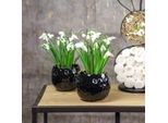 Vaso Da Fiori In Ceramica Uovo Vaso Per Piante Nero Struttura A Nido D'ape Bordo Oro Ø10Cm H8Cm 2Pcs Decorazione Di Pasqua