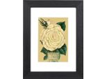 Cornice Goldbuch Rustiq Nero 13X18 Cm Con Passe-Partout 9X13 Cm
