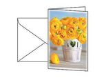 Grußkarte Sigel „Ranunculus“, Format B6, 115 x 170 mm, mit weißen & gummierten Umschlägen, gelb, FSC®-Glanzkarton, 10 Stück