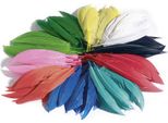Folia Piume Indiane 100 G Colori Assortiti