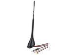 Antenna Sul Tetto Am/Fm E Dab/Dab+