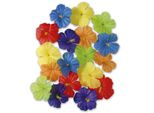 18 Fiori Di Ibisco Colorati