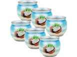 Candele Profumate Motivo 6-Pack In Un Barattolo, Lunga Durata Di Combustione E Piacevole Profumo ( Cocco )