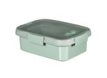 Curver Contenitore Per Alimenti 1L Breakfast Lunchbox Con Coperchio Per Microonde