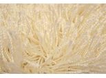 Shaggy Pisa Beige (170X240 Cm)
