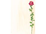 Sigel Design-Papier, Din A4, 90 G/Qm, Motiv "Rose Bloom"""