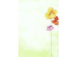 Sigel Design-Papier, Din A4, 90 G/Qm, Motiv "Spring Flowers"""