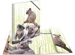 Herma 19967 Fascicolo Angolare Herma Animali Esotici, A3, Famiglia Di Koala